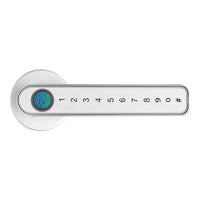 Fingerprint Door Lock