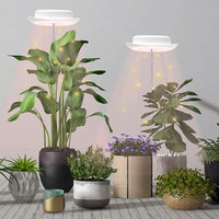 Pack of 2 Full Spectrum LED Growth Light for Indoor Plants_10