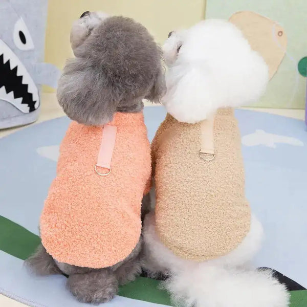 Plush Winter for Dogs