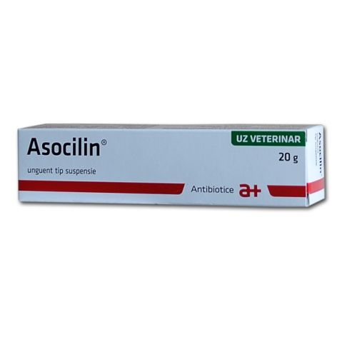 ASOCILIN 20g ointment for EYE, Ear and cutaneous infection for Dog,Cat,Bovine