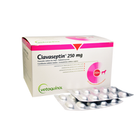 CLAVASEPTIN 250 mg - 200 mg amoxicillin / 50 mg clavulanic acid - 10 tablets (synulox) for DOG & CAT