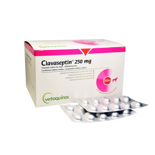 CLAVASEPTIN 250 mg - 200 mg amoxicillin / 50 mg clavulanic acid - 10 tablets (synulox) for DOG & CAT