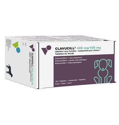 CLAVUCILL   500 mg - 400 mg amoxicillin / 100 mg clavulanic acid - 10 tablets