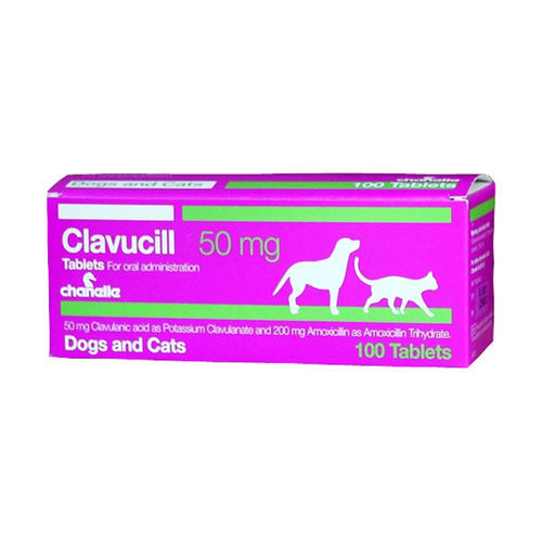 CLAVUCILL  50 mg - 40 mg amoxicillin / 10 mg clavulanic acid - 10 tablets (synulox) for DOG & CAT
