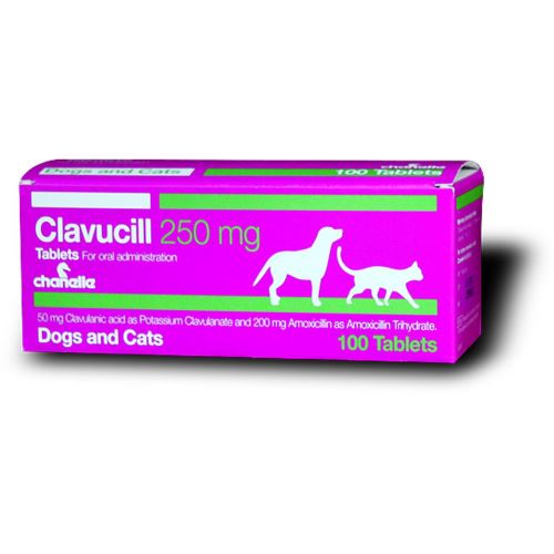 CLAVUCILL   250 mg - 200 mg amoxicillin / 50 mg clavulanic acid - 10 tablets (synulox) for DOG & CAT