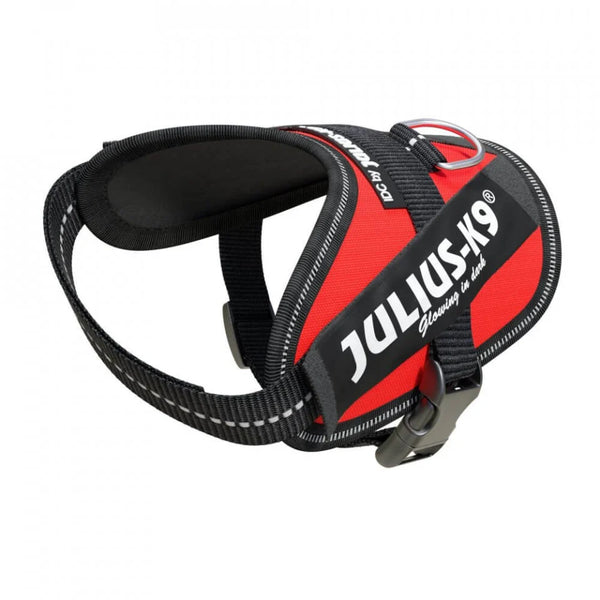 Julius-K9 IDC Powerharness RED all size